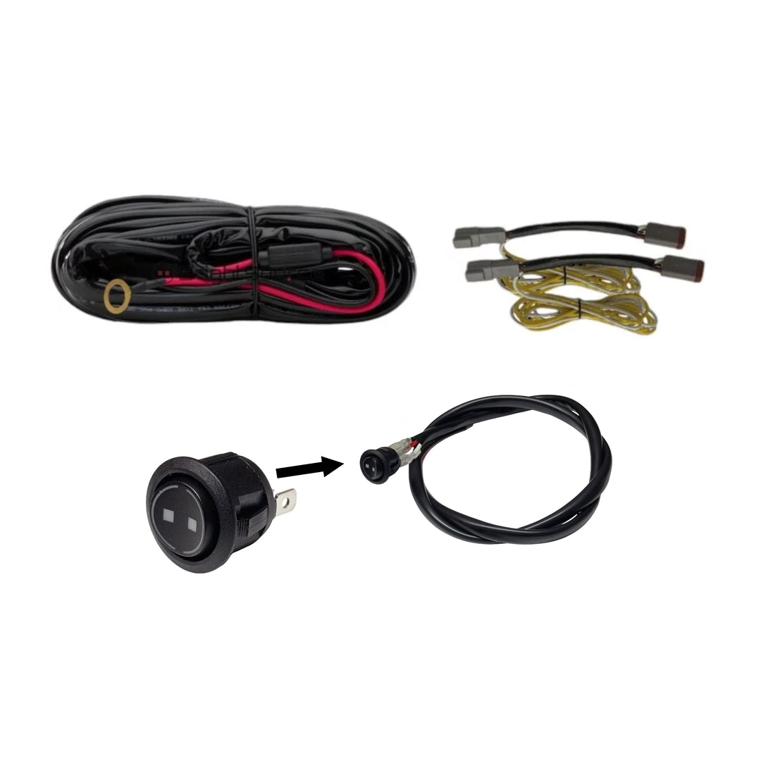 30A Wiring harness for two lamps w/position light